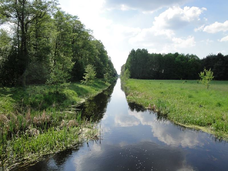 Wielkie Moczenie. Spływ Kanałem Łasica