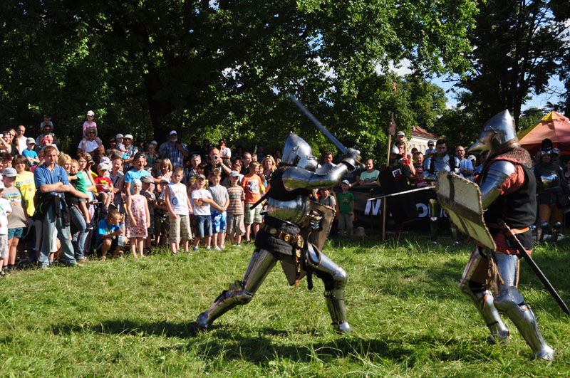Starostwo Powiatowe wsparło piknik historyczny