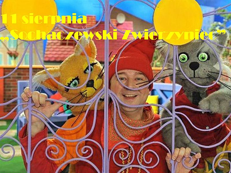 Kot Budzik i Kotka Ruda na placu Kościuszki