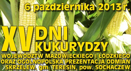 XV Jubileuszowe Dni Kukurydzy w Skrzelewie