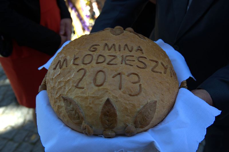 Dożynki Powiatowe w Młodzieszynie