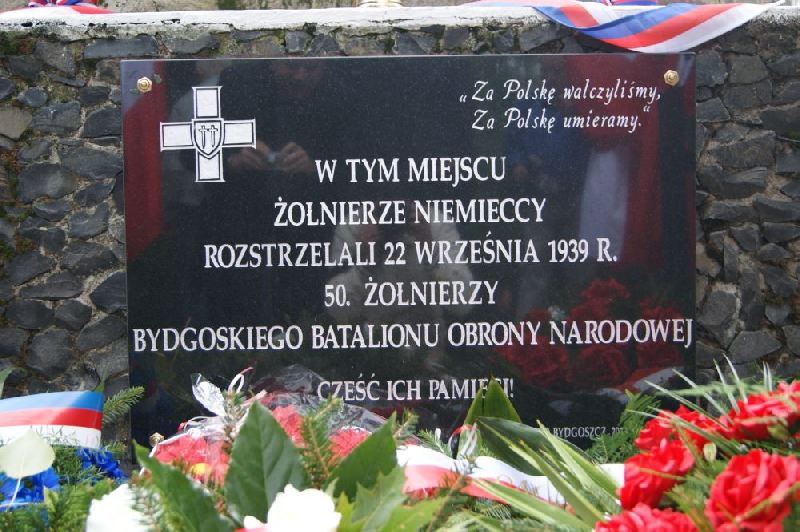 Błąd czy polityczna prowokacja na uroczystościach patriotycznych w Boryszewie