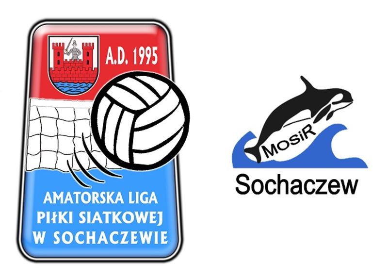 Amatorska Liga Piłki Siatkowej
