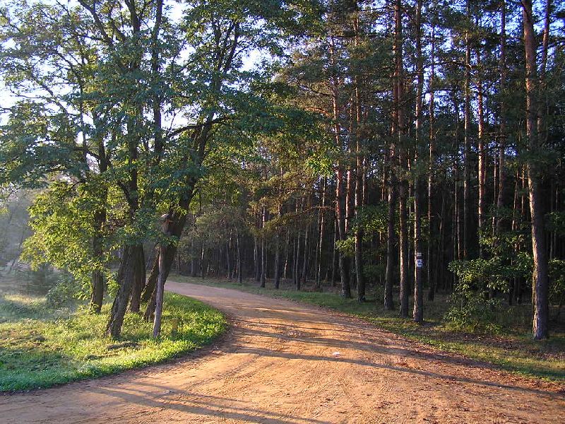 Wycieczka szlakami Puszczy Kampinoskiej