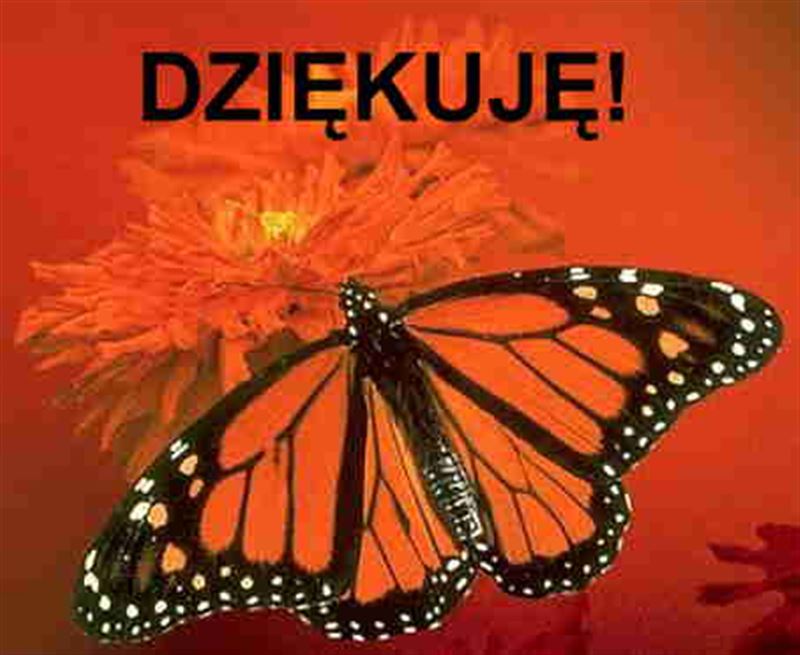 Podziękowanie dla firmy Marcina Cichockiego.