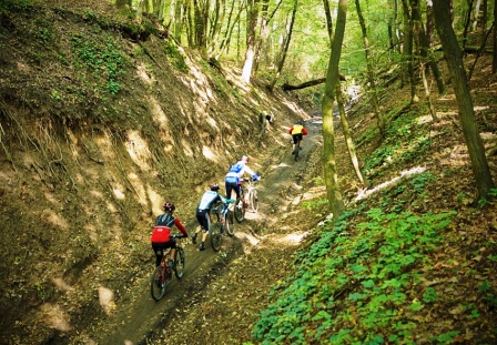 MTB w Płocku