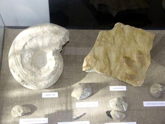 Minerały i zdjęcia - dwie nowe wystawy w muzeum