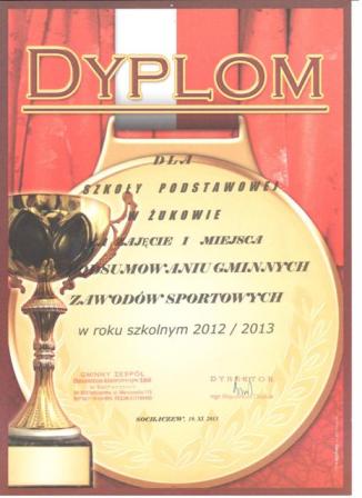 Sportowcy z Żukowa najlepsi w Gminie Sochaczew w roku szkolnym 2012/2013