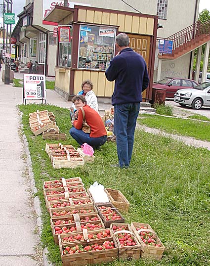 Przewrót truskawkowy