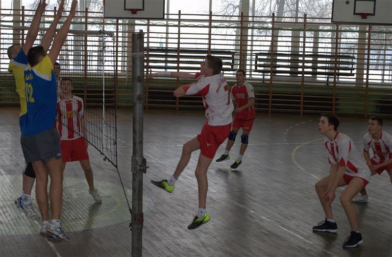 Amatorska Liga Piłki Siatkowej po VIII kolejce