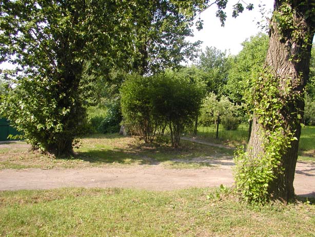 Potyczka o krzaki