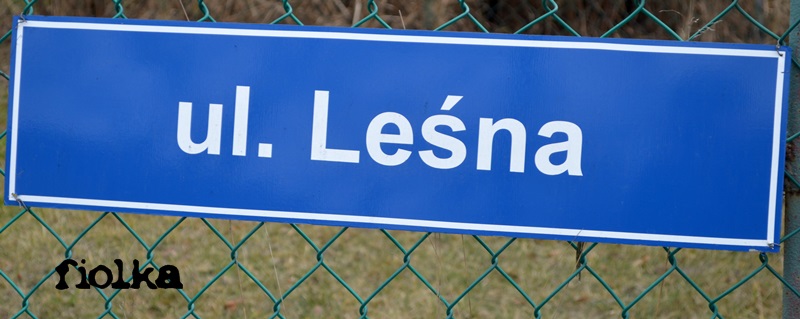 W lesie z ulicą Leśną