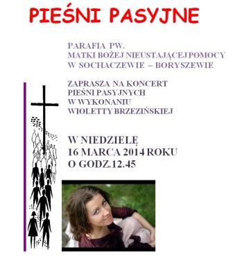Koncert Violi Brzezińskiej