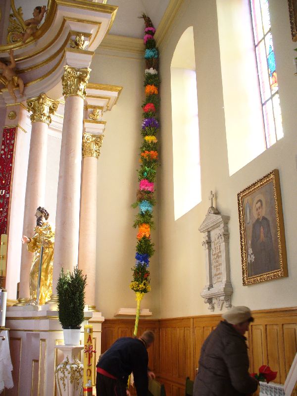 Pięciometrowa Palma