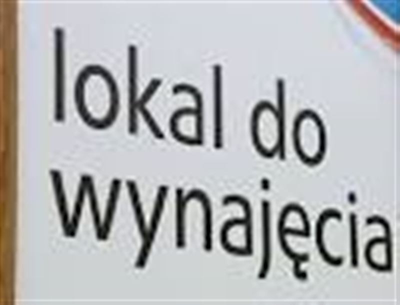 Teren do wydzierżawienia