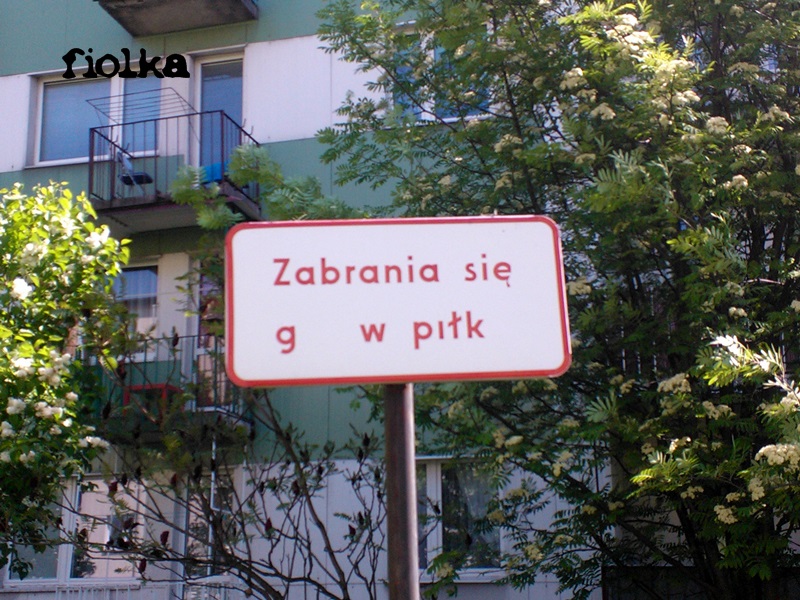 Zakazy i nakazy