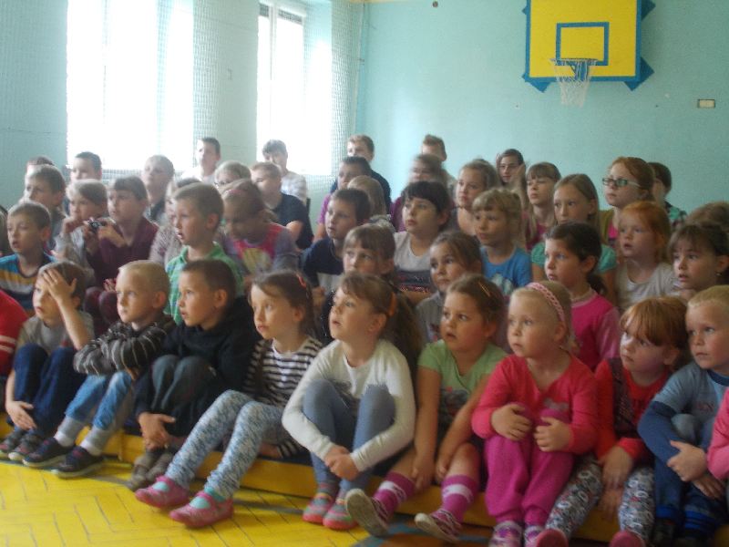 Lekcja przyrody na żywo - OWADY