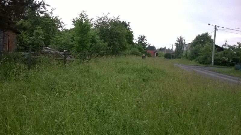 Ulica i burmistrz do połowy