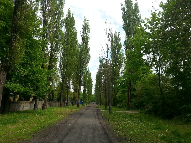 Pilarze nie widzieli zamieszkałych gniazd
