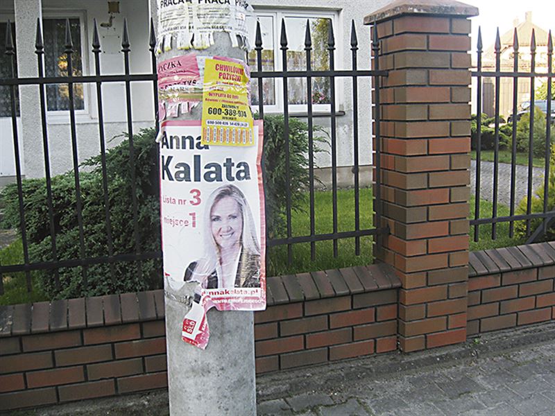 Krajobraz po eurowyborach