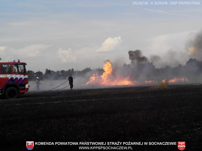 Pożar zboża na pniu w Pawłowicach