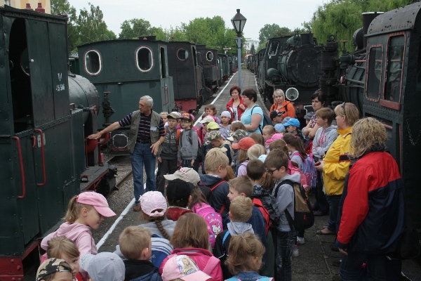 RETRO z zumbą. Wąskotorówka i puszcza w nowych barwach