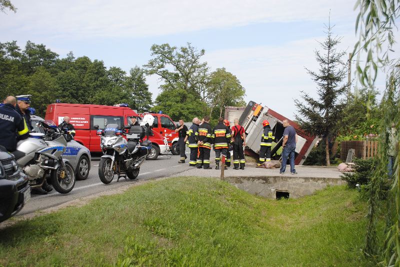 Wypadek we Wszeliwach - ucierpiały zwierzęta