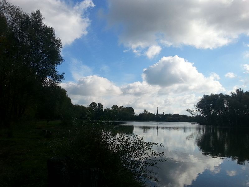 Będą wycinać nad zalewem