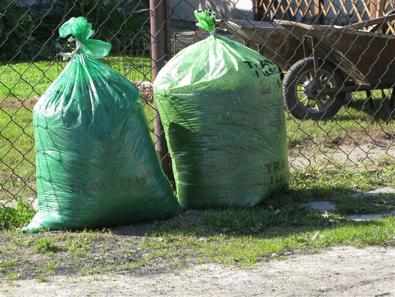 Pozbądź się zielonych