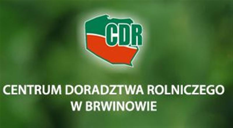 Konkurs dla małych i średnich firm