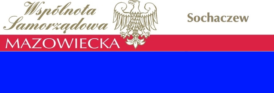 Komitety wyborcze do powiatu