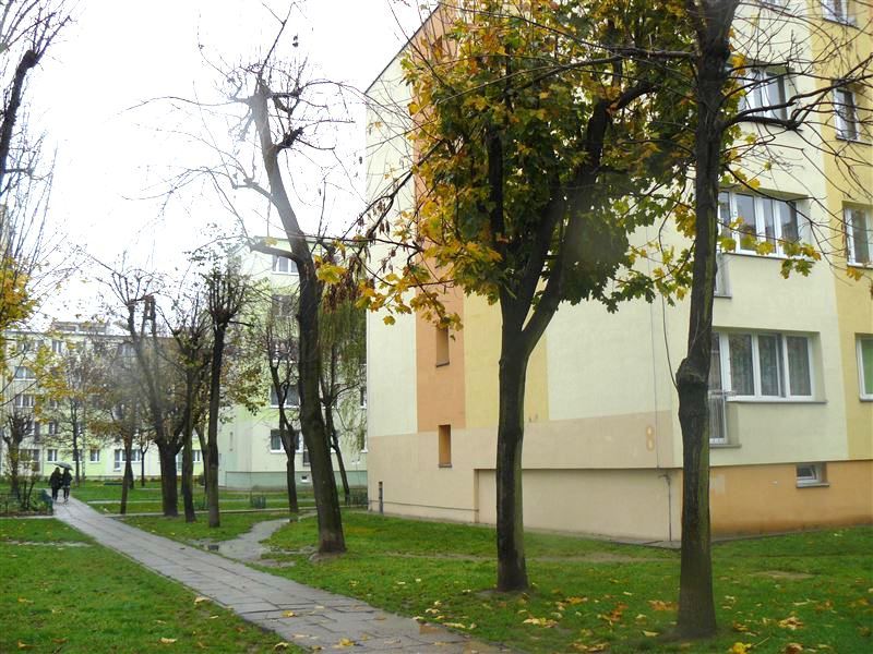 Własne M za 1% wartości