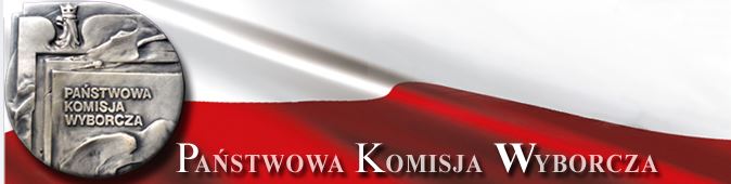 System informatyczny PKW