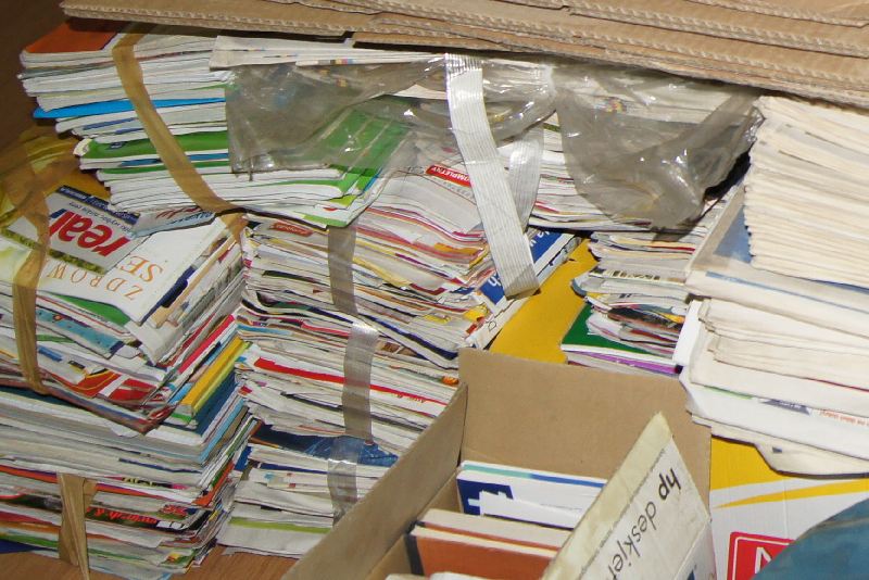Zbieramy makulaturę – chronimy lasy