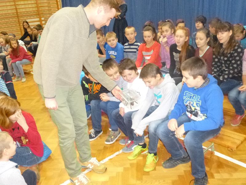 Kolejna lekcja żywej przyrody
