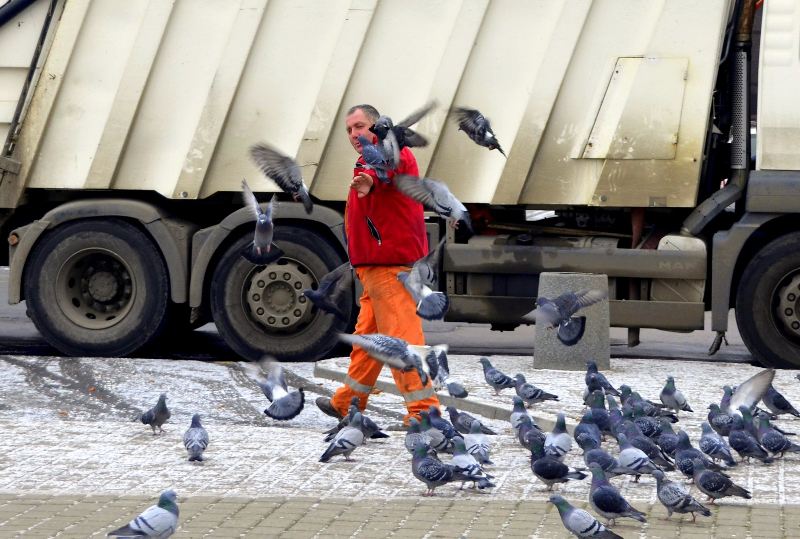 Kevin sam w Sochaczewie