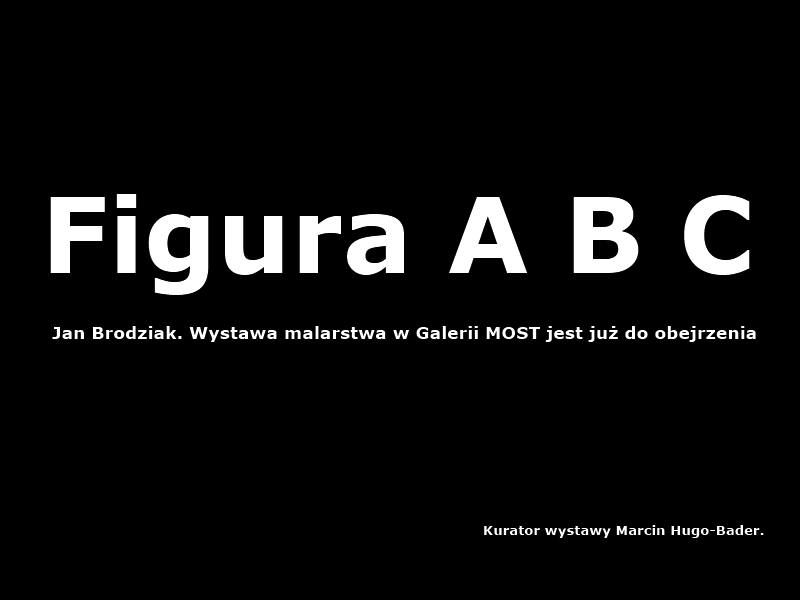 Figura A B C. Wystawa w Galerii MOST
