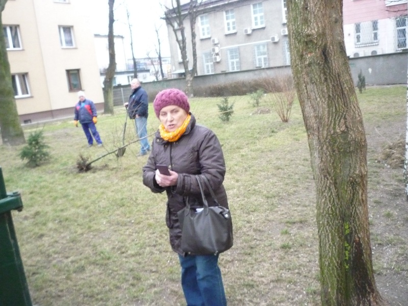 Ekologiczna walka Wikinga: barbarzyńcy są wśród nas!
