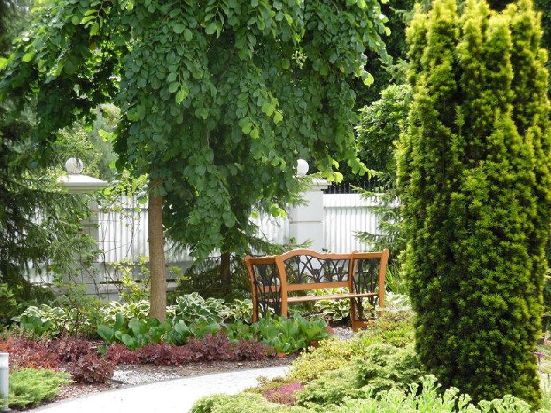 Stwórz swój zielony raj z Garden