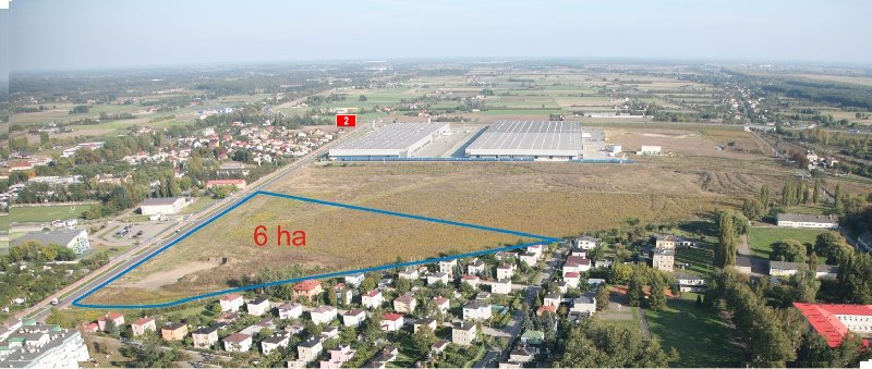 Pola czerwonkowskie pod sąd