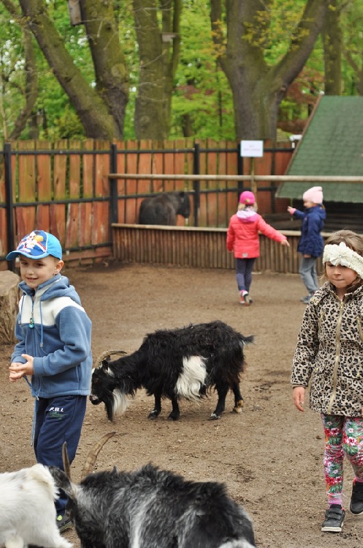 Wycieczka do Płocka - 04.05.2015