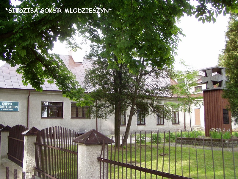 Konkurs na dyrektora samorządowej instytucji kultury - Gminny Ośrodek Kultury w Młodzieszynie