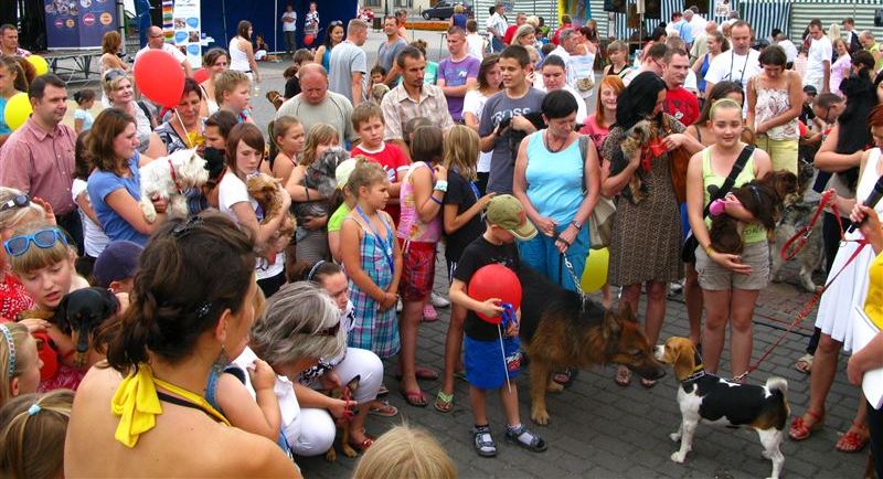 Sochaczewski Zwierzyniec 2015