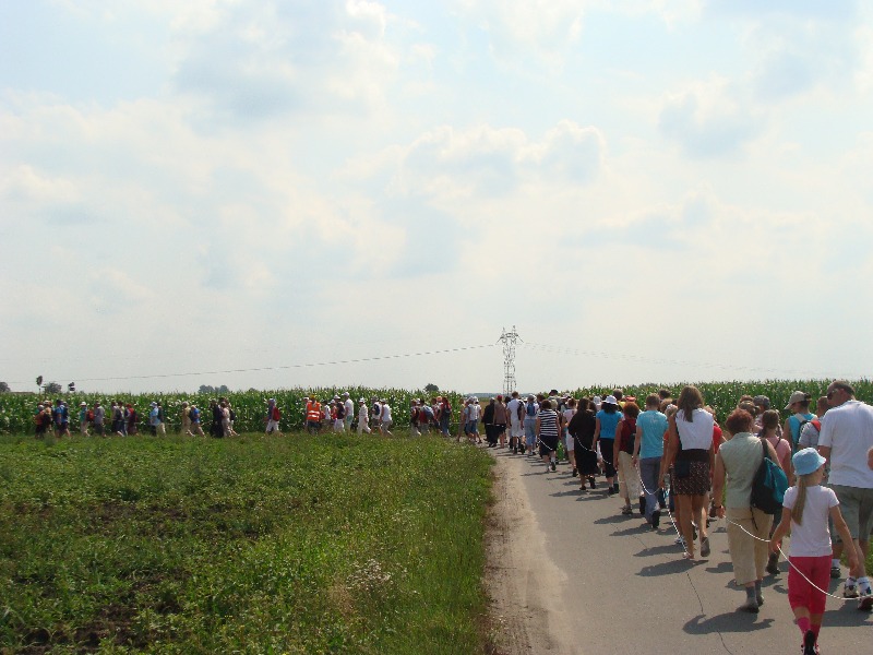 Miedniewicka Pielgrzymka