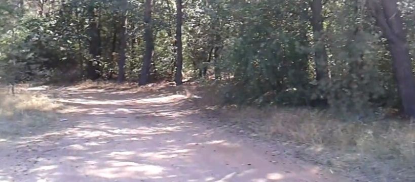Szok rowerzysty w Mistrzewicach opanowany