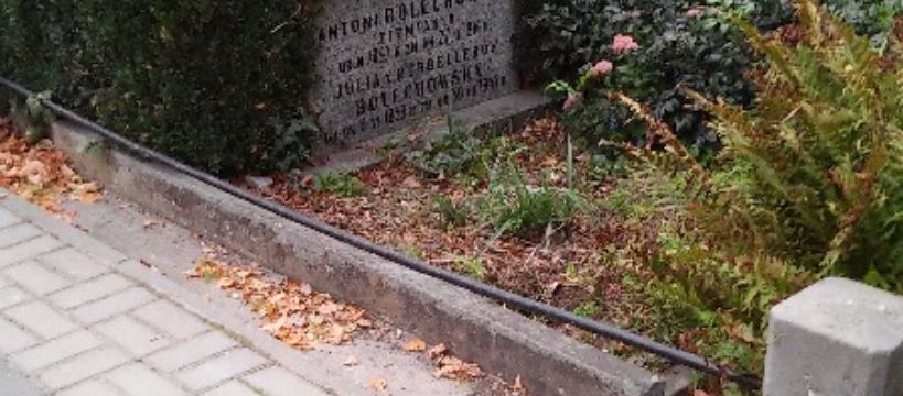 Niechlujstwo na sochaczewskim cmentarzu!