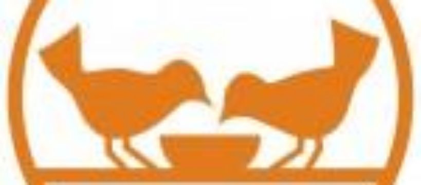 Warsztaty ekonomiczne - Finanse w budżecie domowym