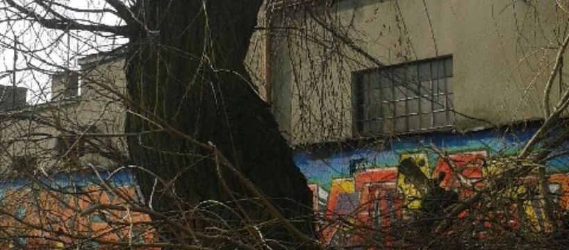 Tak wygląda dzisiejszy Sochaczew