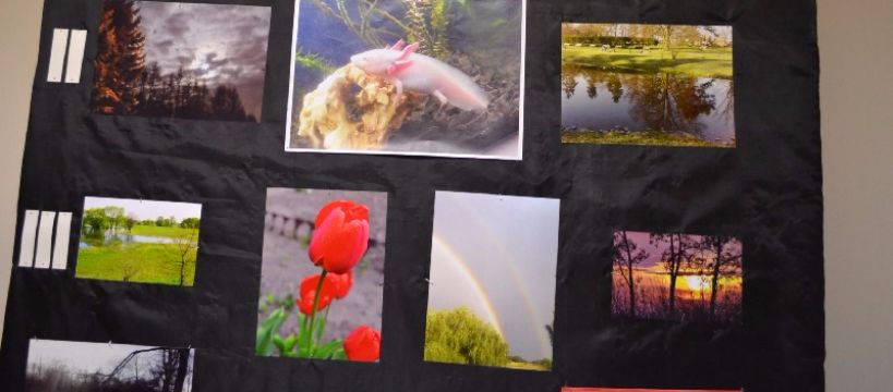 Wewnątrzszkolny konkurs fotograficzny