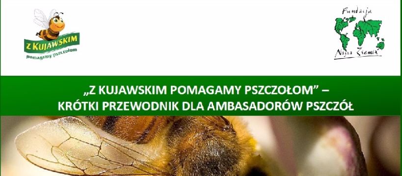 Zostań Ambasadorem Pszczół!